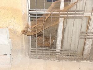 Pencereden Ateş Açıldı: 2 Yaralı