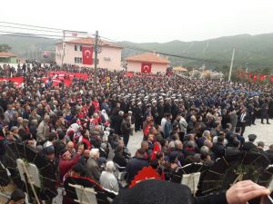 Muğla Şehidini Zeytin Dallarıyla Uğurladı