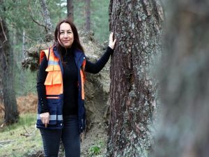 Ormanlar Burçin Müdüre Emanet