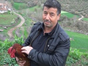 Bıçağı Gören Horoz ’Anne’ Dedi